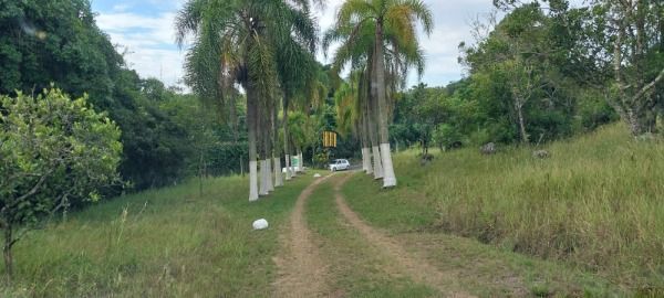 Sítio 1 dormitório no bairro Belém Velho