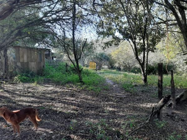 Sítio para Venda - 200m², 3 dormitórios, 4 vagas - Lami