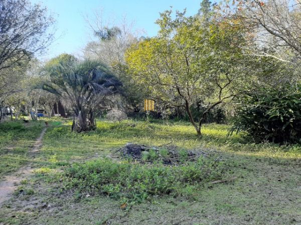Sítio para Venda - 200m², 3 dormitórios, 4 vagas - Lami