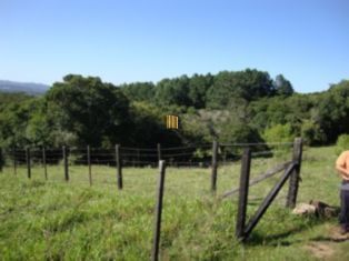 Terreno para Venda - 0m², 0 dormitórios, Chapéu do Sol
