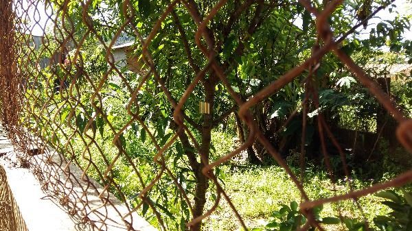 Casa para Venda - 100m², 3 dormitórios, 6 vagas - Hípica
