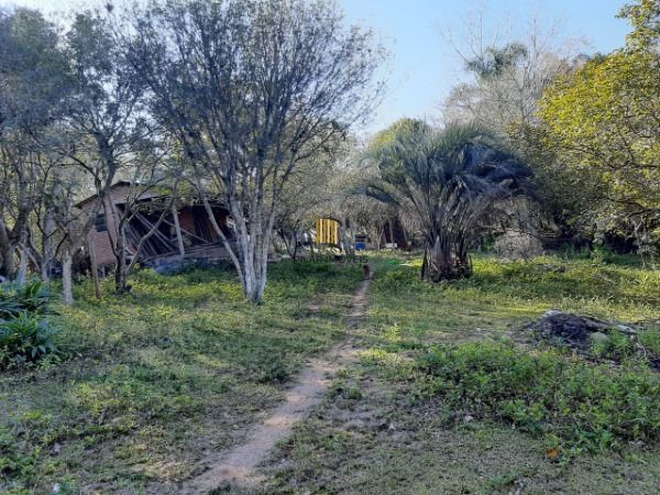 Sítio para Venda - 200m², 3 dormitórios, 4 vagas - Lami