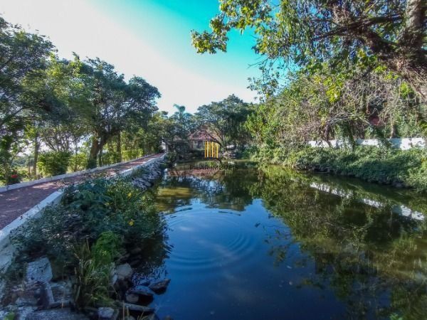 Sítio para Venda - 190m², 4 dormitórios, sendo 2 suites, 2 vagas - Lageado