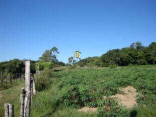Terreno para Venda - 0m², 0 dormitórios, Chapéu do Sol