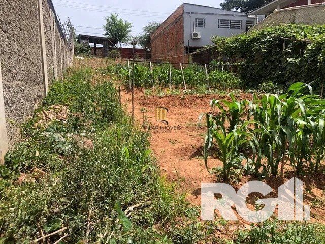 Terreno no bairro Jardim Floresta