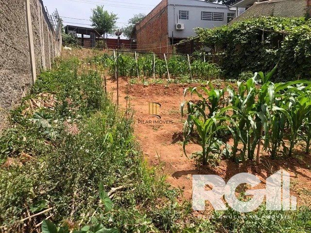 Terreno no bairro Jardim Floresta