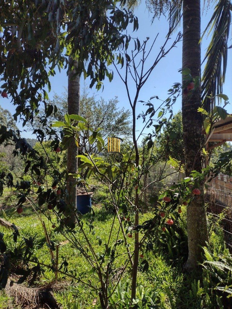 Sítio 1 dormitório no bairro Albatroz