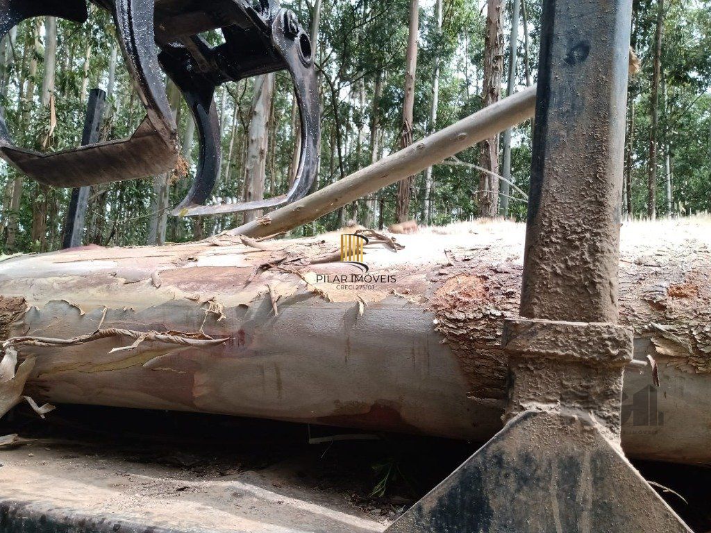 Fazenda 4 Dormitório(s) Bairro Zona Rural