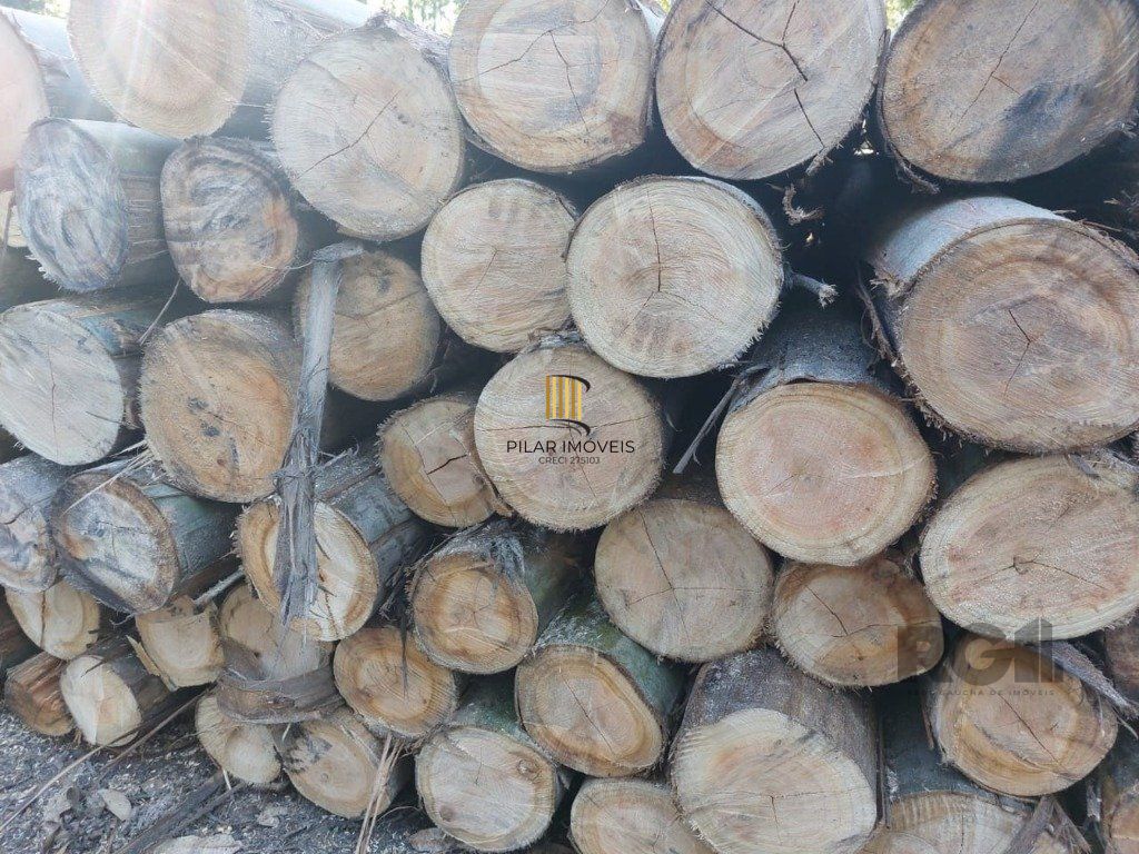 Fazenda 4 Dormitório(s) Bairro Zona Rural