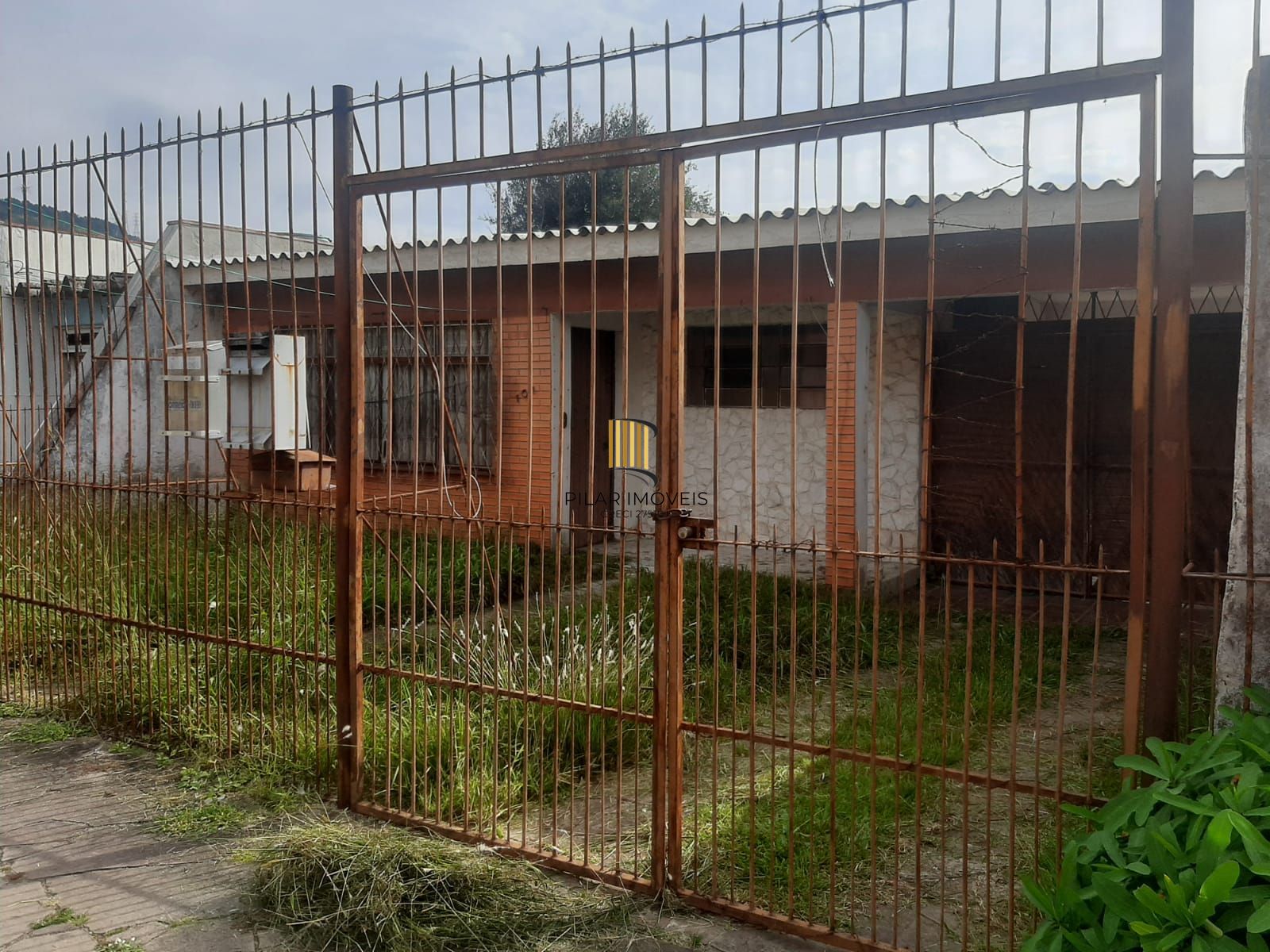 Terreno no Morro Santana Junto Av. Protásio Alves