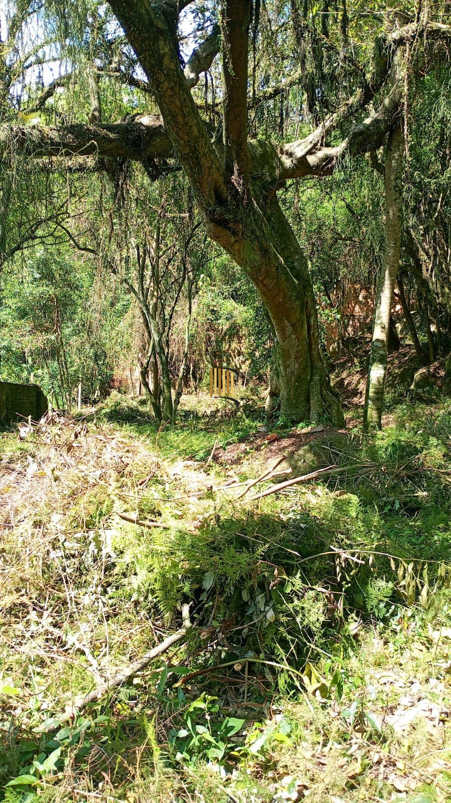 Terreno no Bairro Ipanema em Porto Alegre