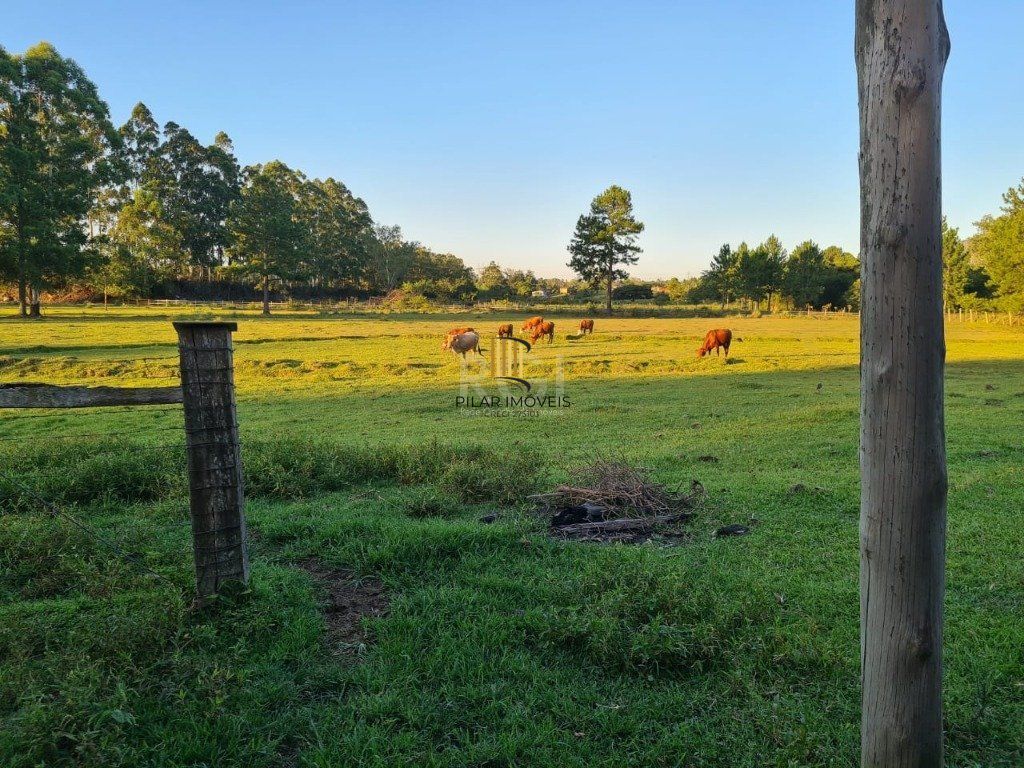 Sítio para Venda - 60000m², 3 dormitórios, Loteamento Rural Palermo