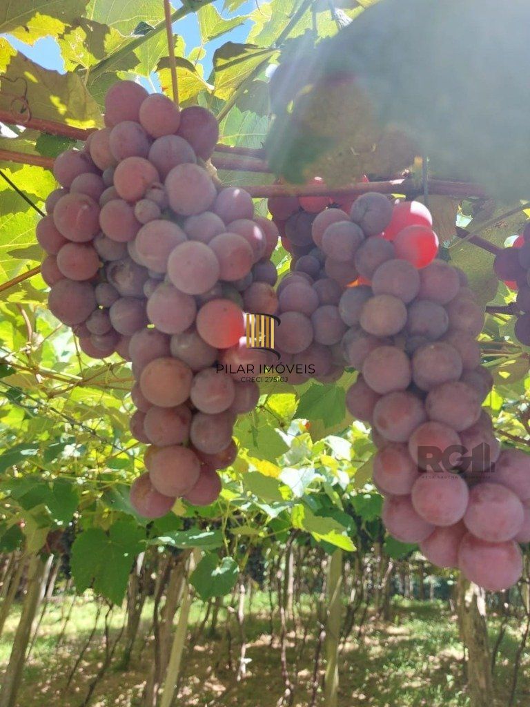 Fazenda 4 Dormitório(s) Bairro Zona Rural