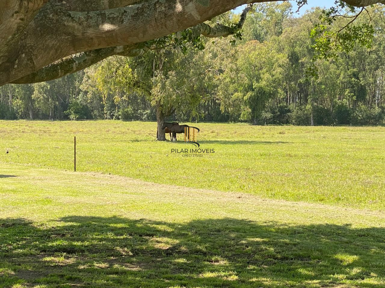 AREA RURAL COM 30 HECTARES EM PORTO ALEGRE, BAIRRO EXTREMA.