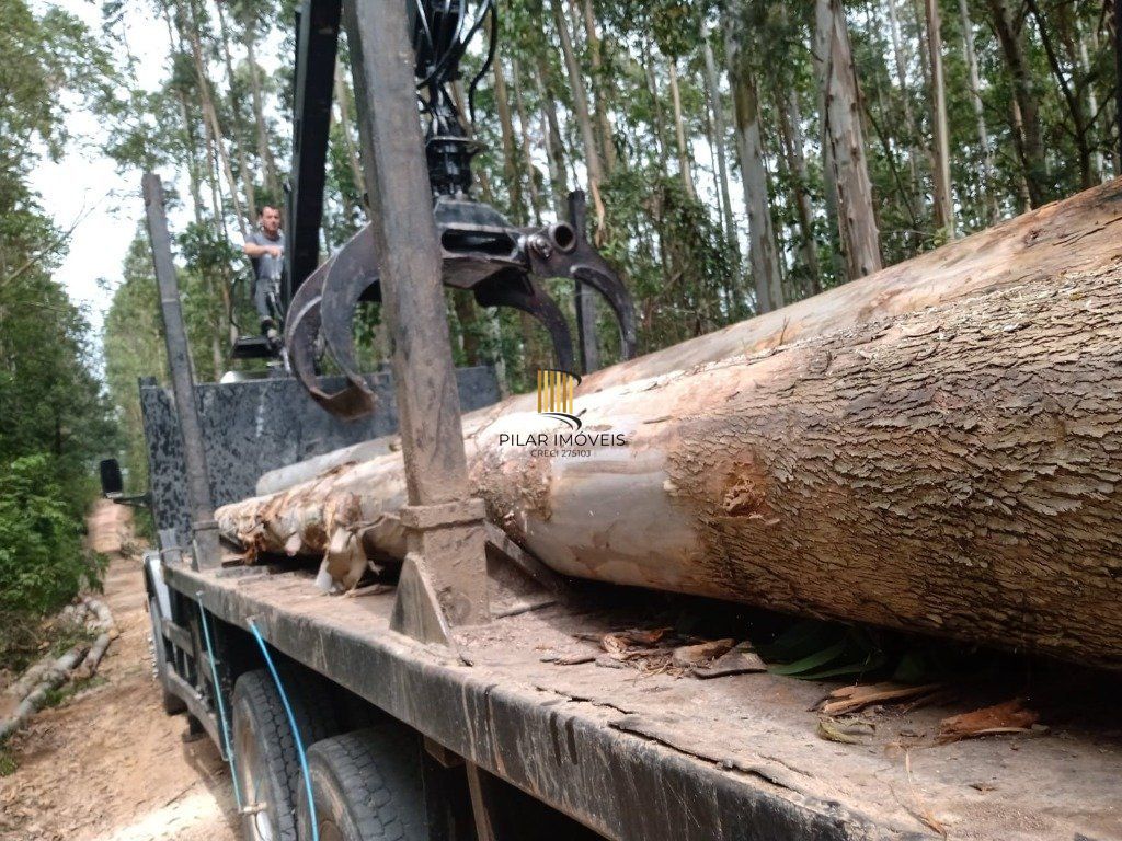 Fazenda 4 Dormitório(s) Bairro Zona Rural