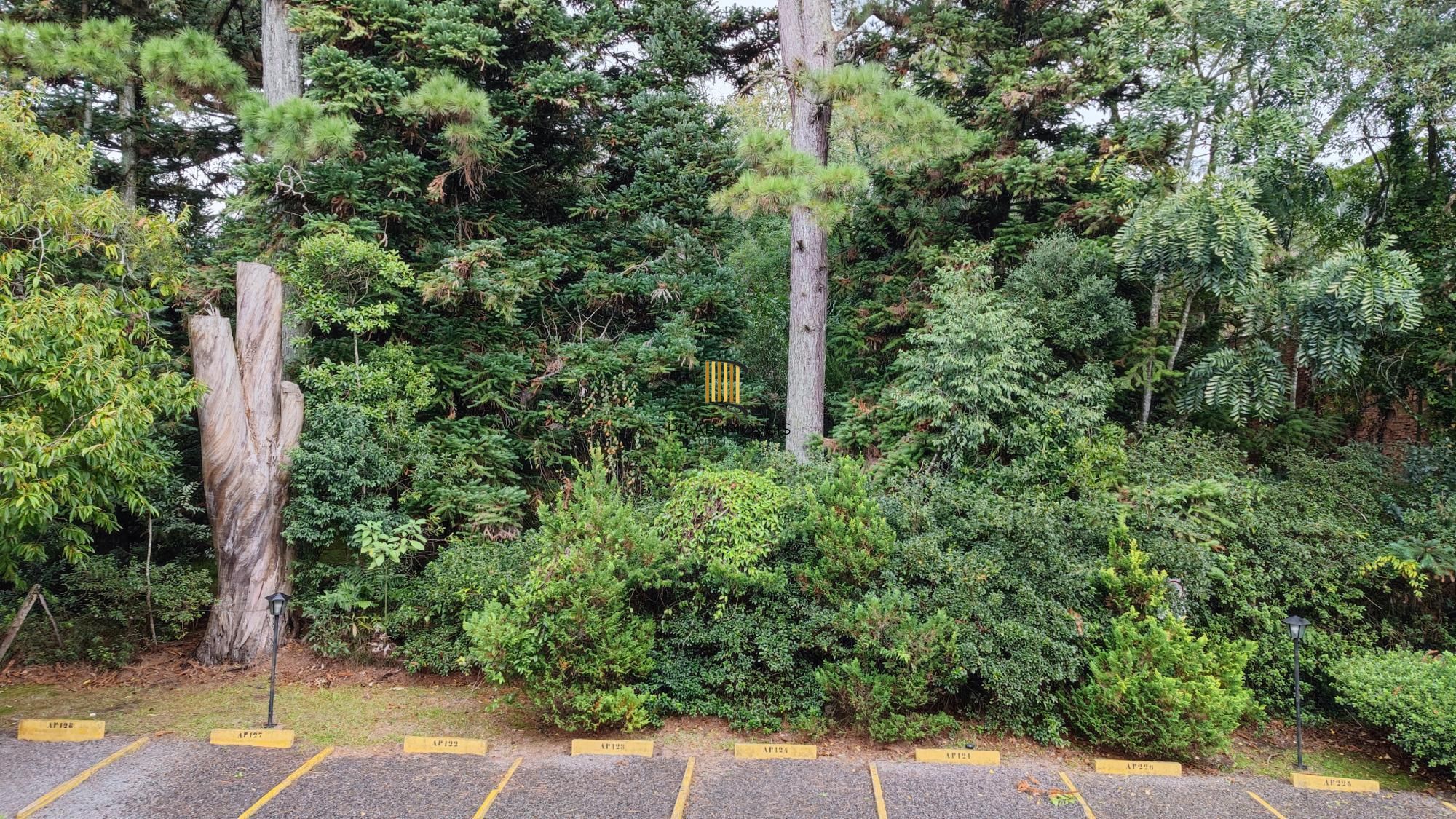 APARTAMENTO A 1000 METROS DO LAGO NEGRO GRAMADO RS
