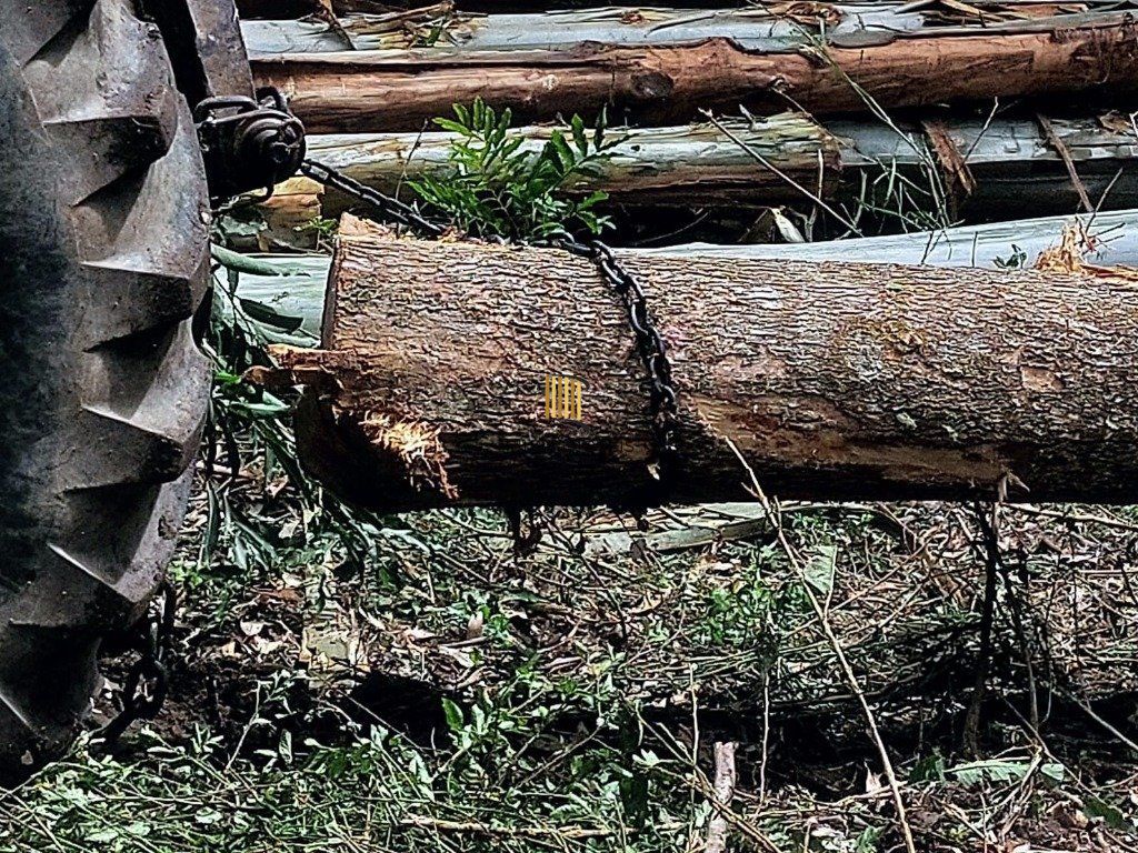 Fazenda 4 Dormitório(s) Bairro Zona Rural