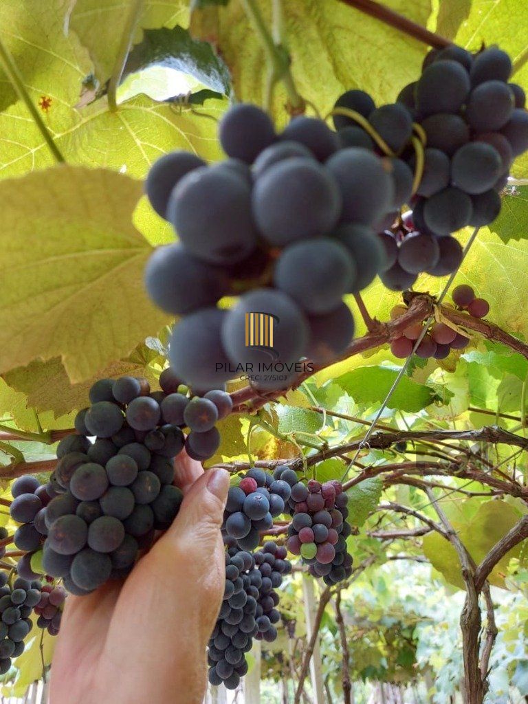 Fazenda 4 Dormitório(s) Bairro Zona Rural