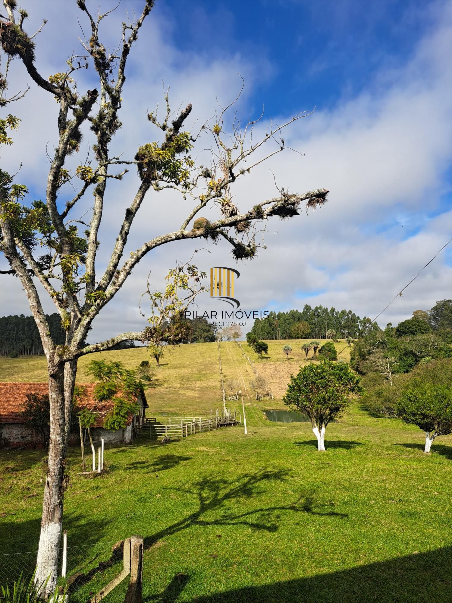Sítio para Venda - 0m², 0 dormitórios, Itapuã - Pilar Imóveis