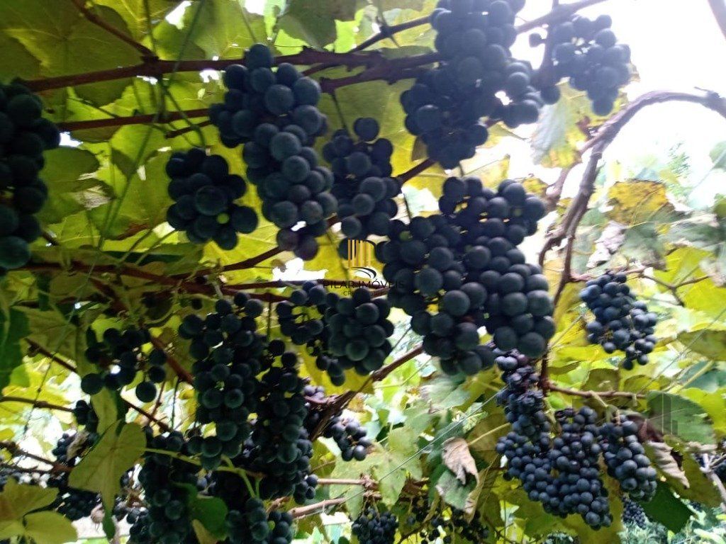 Fazenda 4 Dormitório(s) Bairro Zona Rural