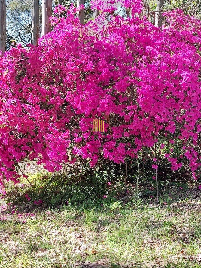 Fazenda 4 Dormitório(s) Bairro Zona Rural