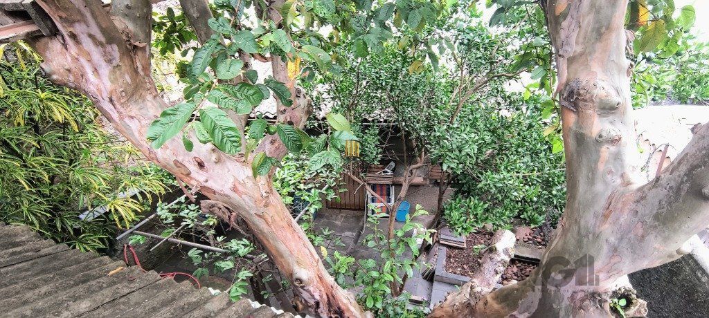 Casa 3 dormitórios no bairro Floresta