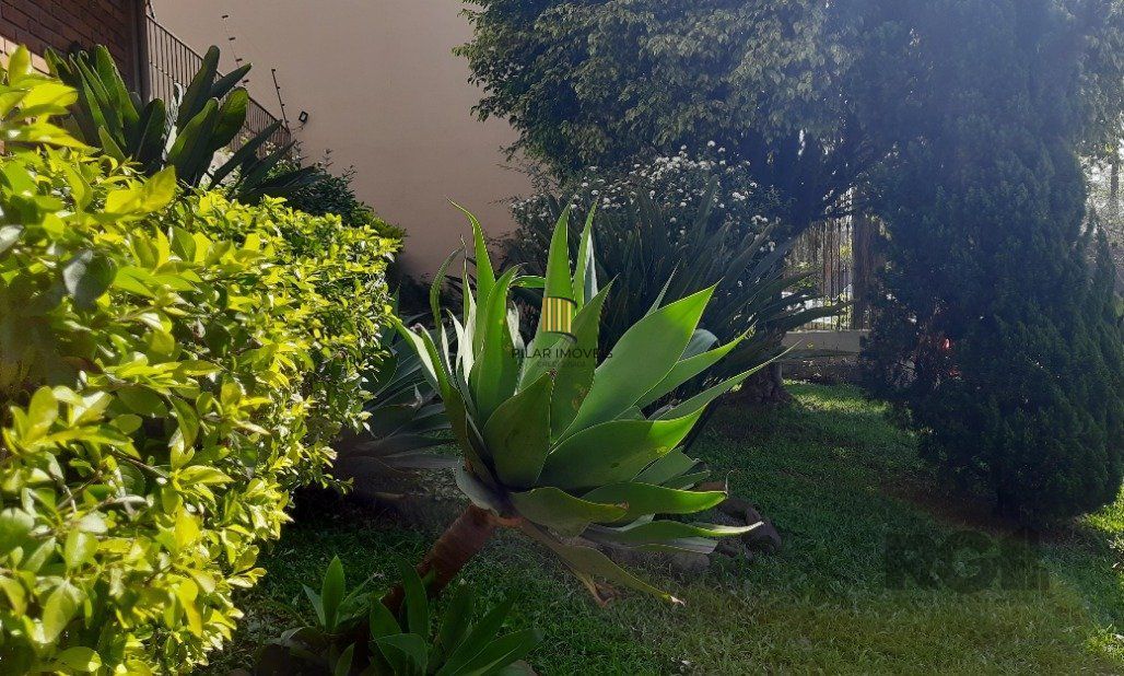 Apartamento aconchegante e com ótima localização na Zona Norte!
