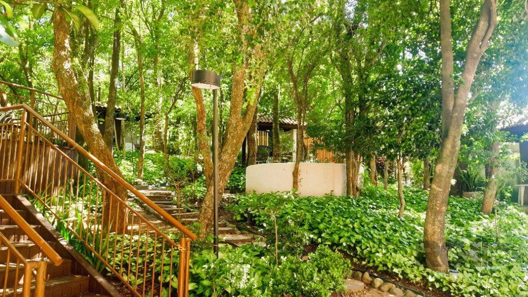 O Paraíso Verde no Coração da Cidade.  Viva em meio à natureza, sem abrir mão da comodidade!