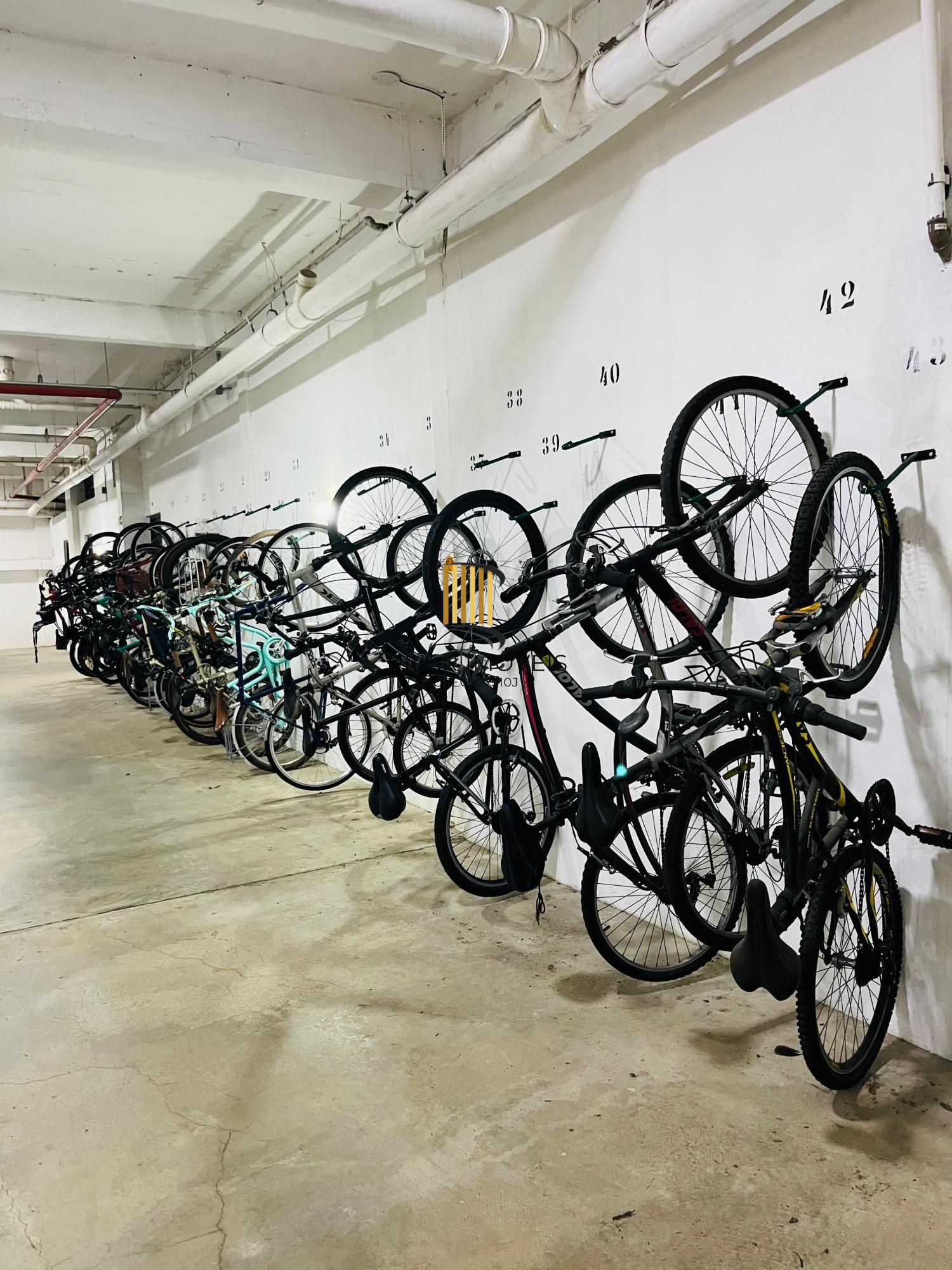 Apartamento de 145m² com projeto de arquiteta e 3 dormitórios no bairro Tristeza