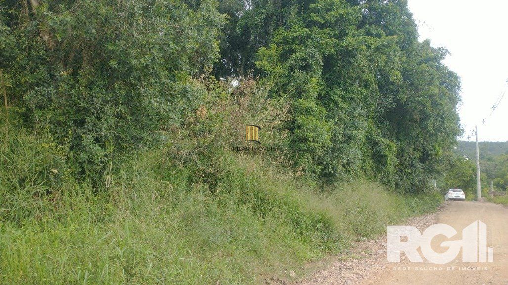 Terreno Bairro Fiuza
