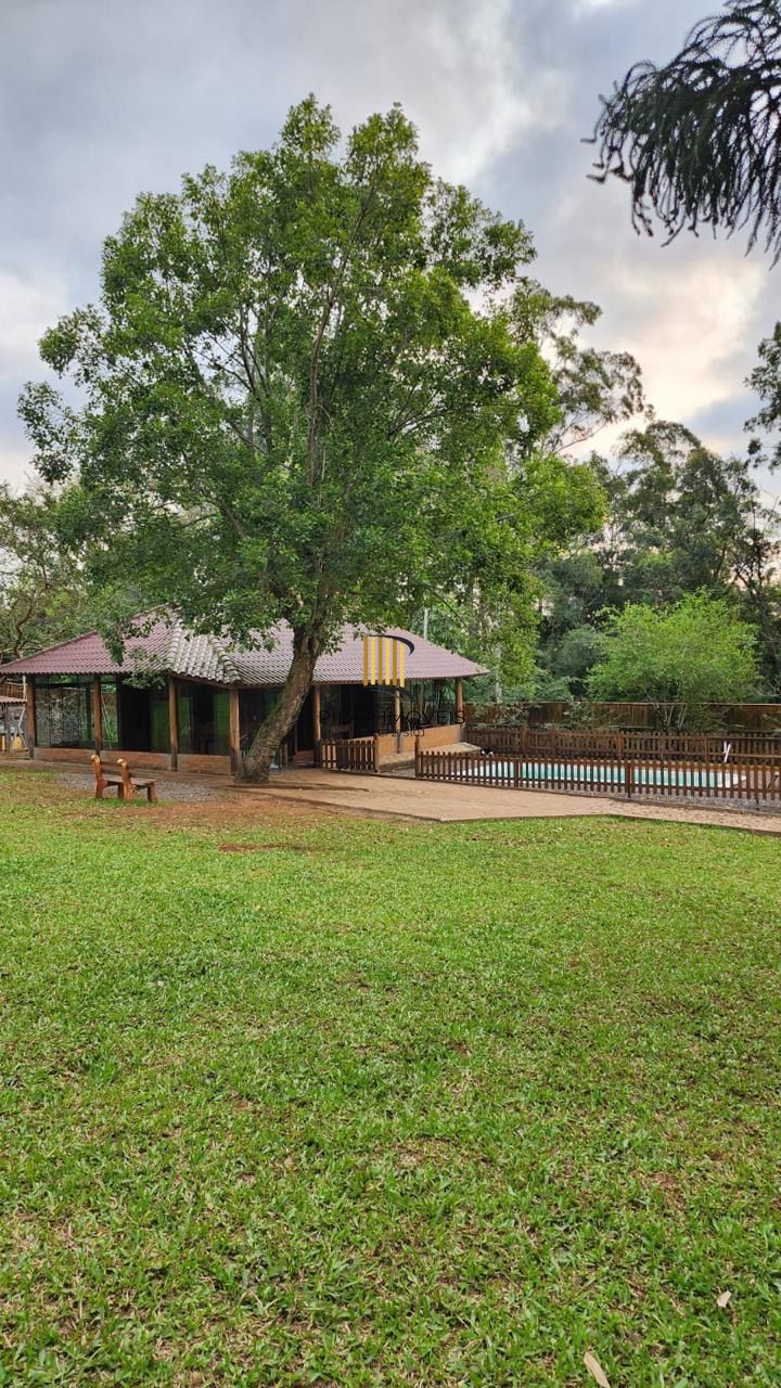 Casa com 2 dormitórios, piscina em terreno totalmente arborizado.