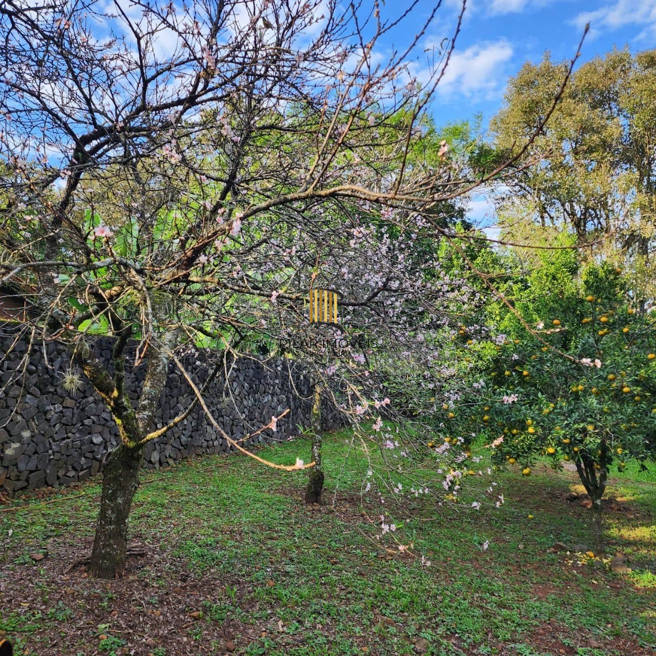Casa com 2 dormitórios, piscina em terreno totalmente arborizado.