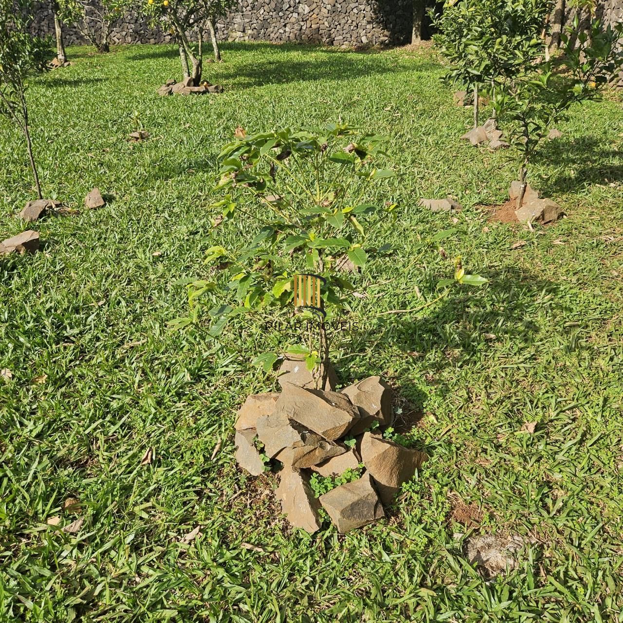 Casa com 2 dormitórios, piscina em terreno totalmente arborizado.