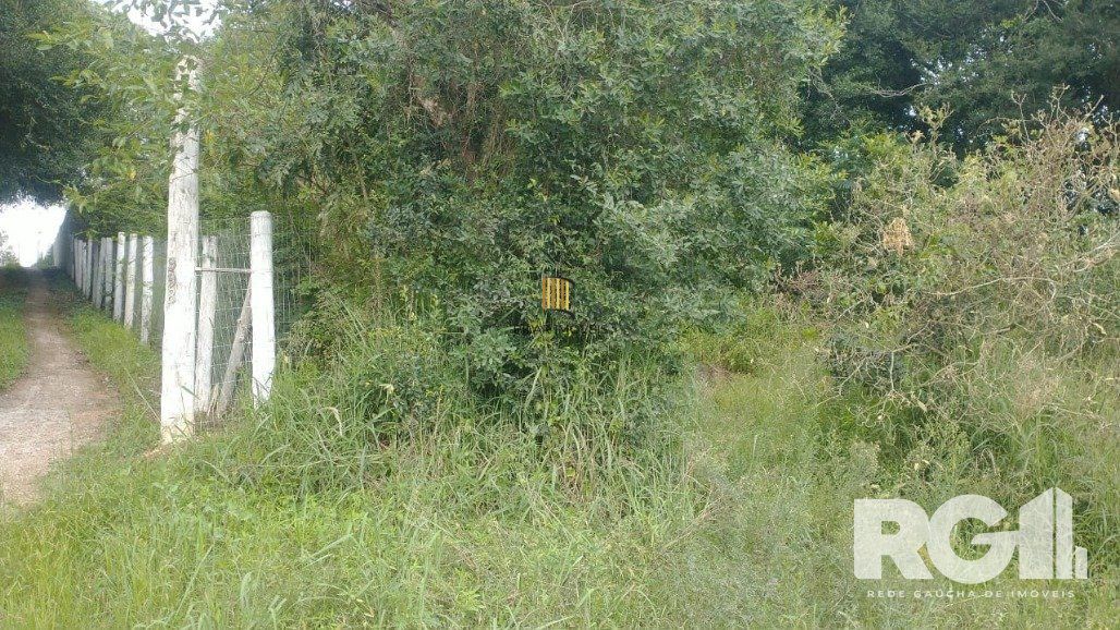 Terreno Bairro Fiuza