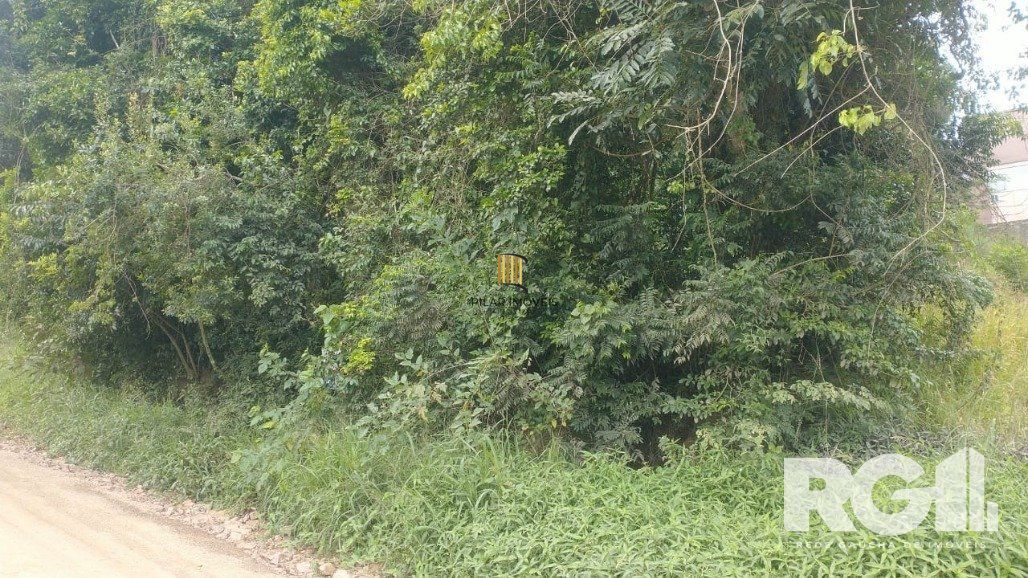 Terreno Bairro Fiuza