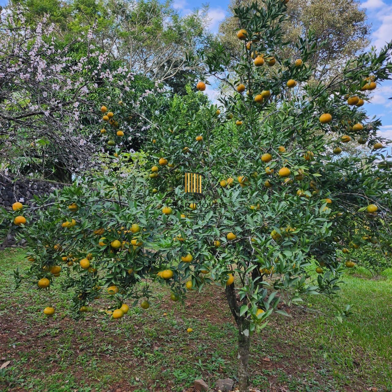 Casa com 2 dormitórios, piscina em terreno totalmente arborizado.
