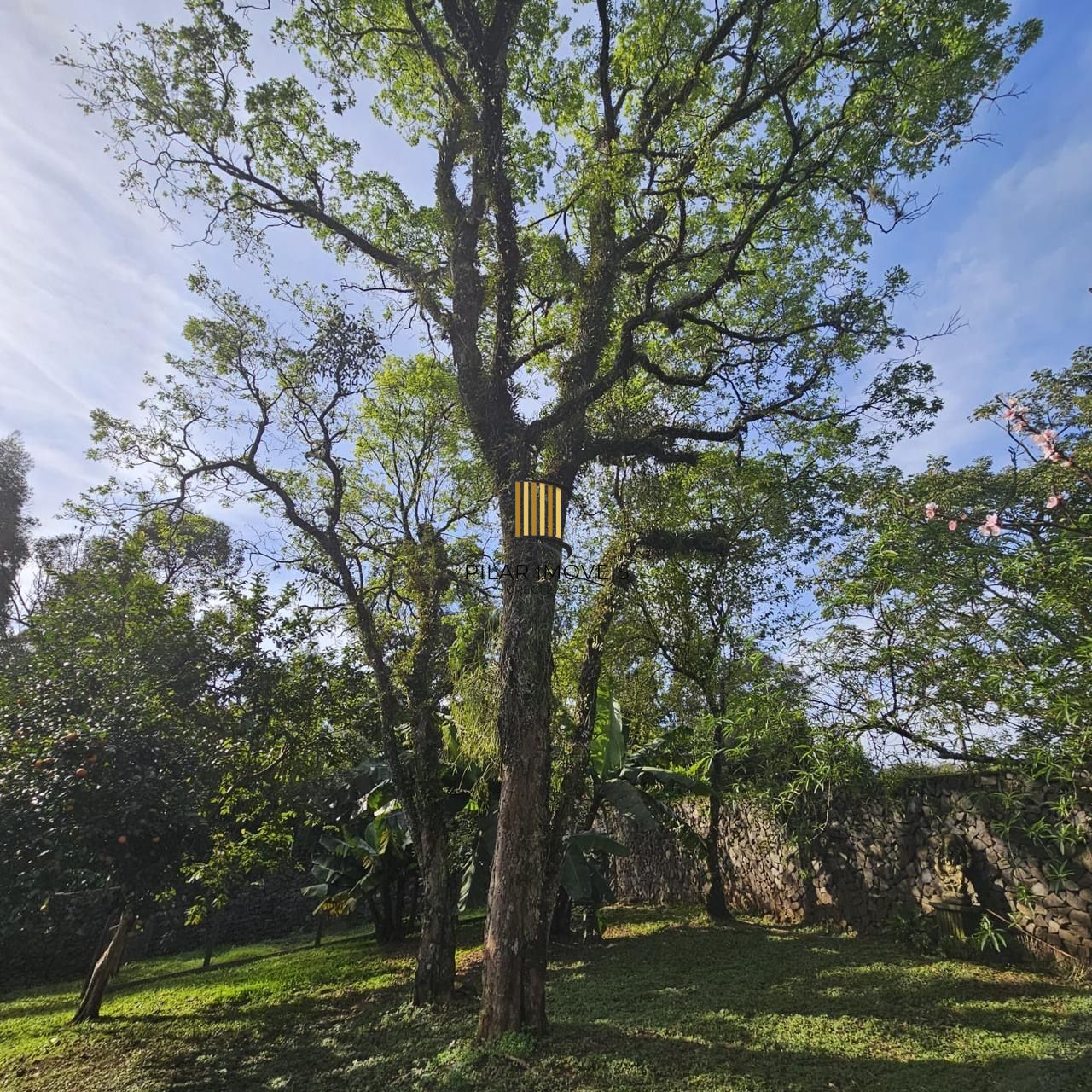 Casa com 2 dormitórios, piscina em terreno totalmente arborizado.