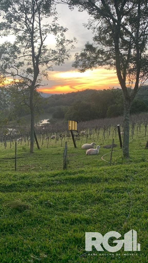Excelente Sitio de 22 Ha em Mariana Pimentel.