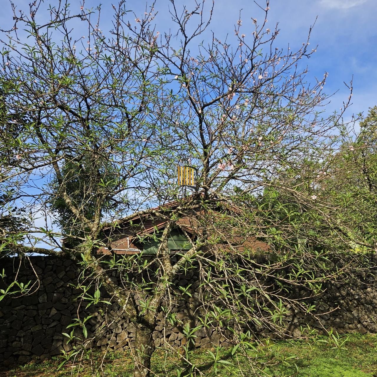 Casa com 2 dormitórios, piscina em terreno totalmente arborizado.