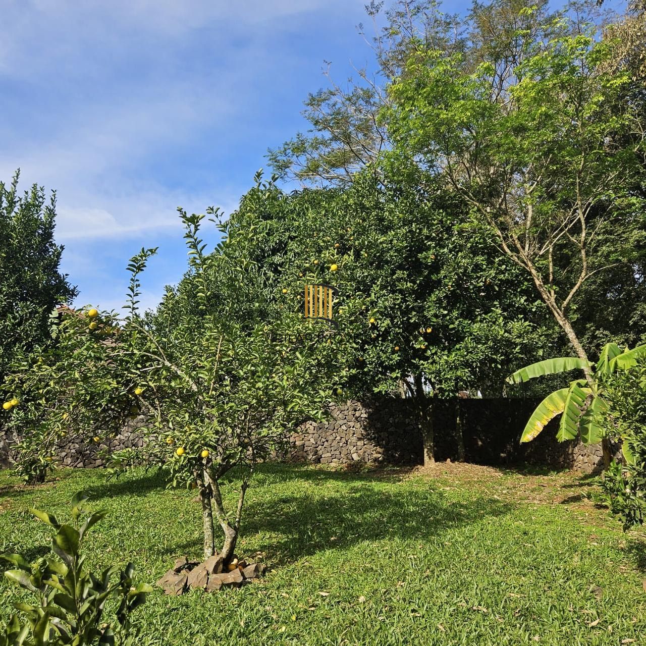 Casa com 2 dormitórios, piscina em terreno totalmente arborizado.