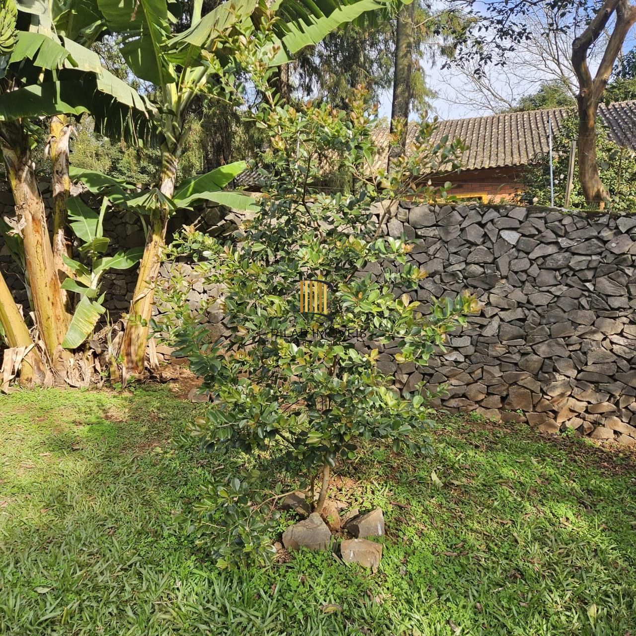 Casa com 2 dormitórios, piscina em terreno totalmente arborizado.