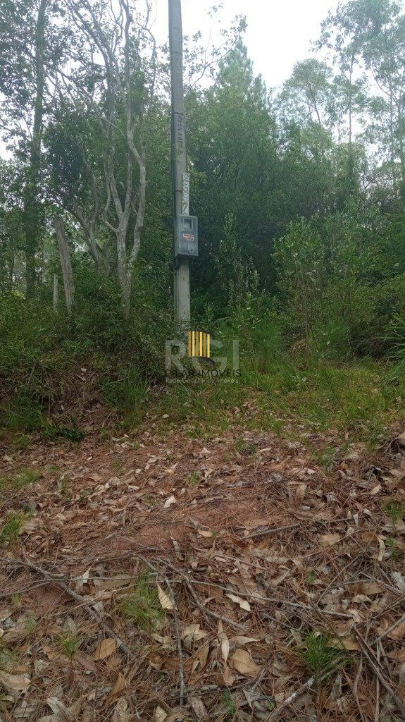 Sítio para Venda - 2500m², 0 dormitórios, Passo Da Areia - Pilar Imóveis
