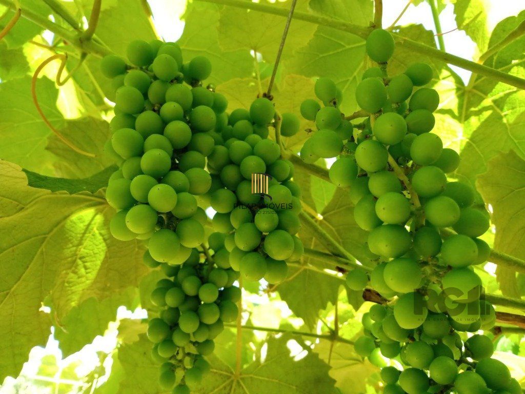 Fazenda 4 Dormitório(s) Bairro Zona Rural