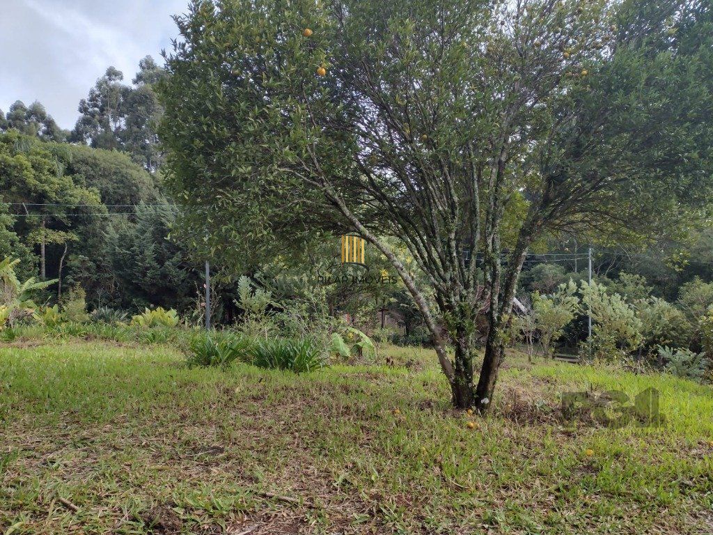 Sítio 1 dormitório no bairro Albatroz