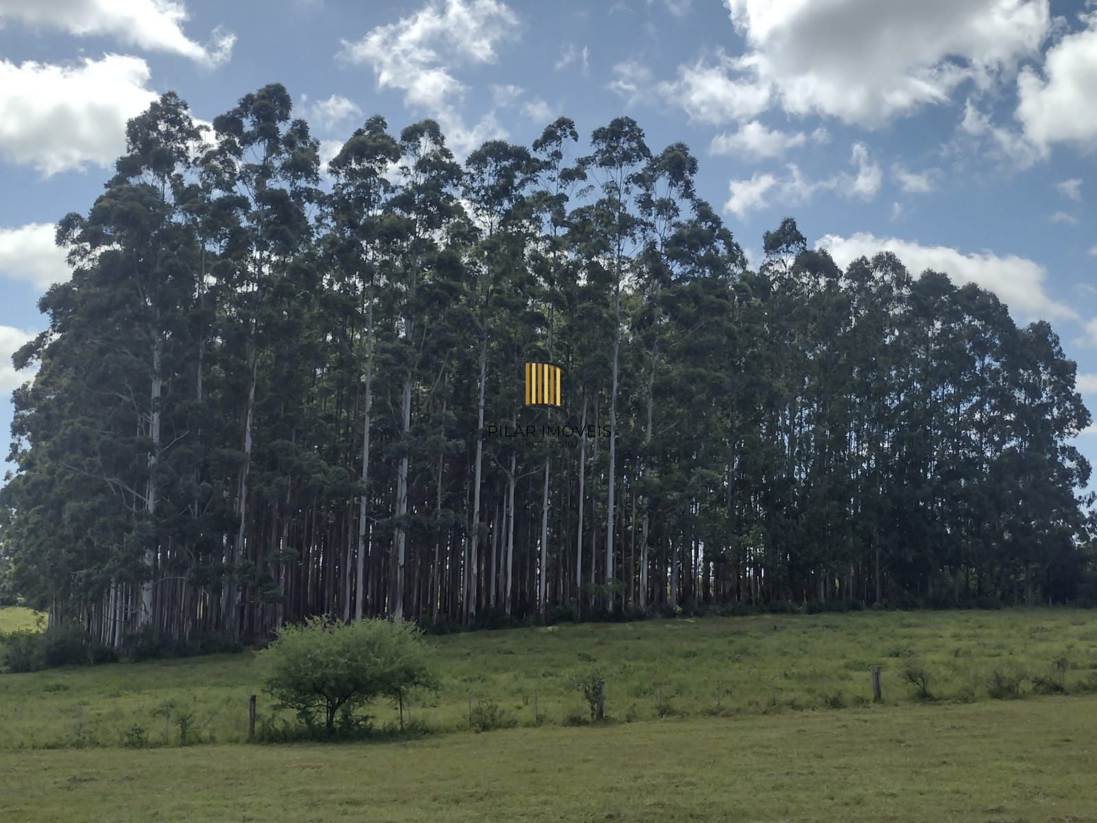 Sítio para Venda - 0m², 0 dormitórios, Itapuã