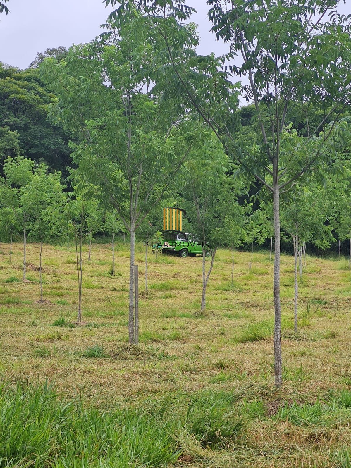 Fazenda Santa Clara em Itapuã