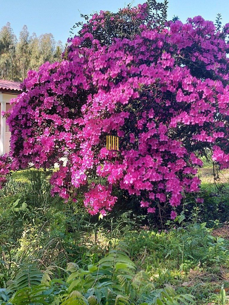 Fazenda 4 Dormitório(s) Bairro Zona Rural