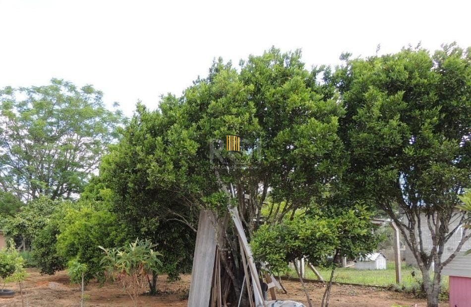 Terreno para Venda - 0m², 0 dormitórios, Tristeza