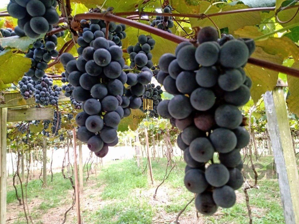 Fazenda 4 Dormitório(s) Bairro Zona Rural