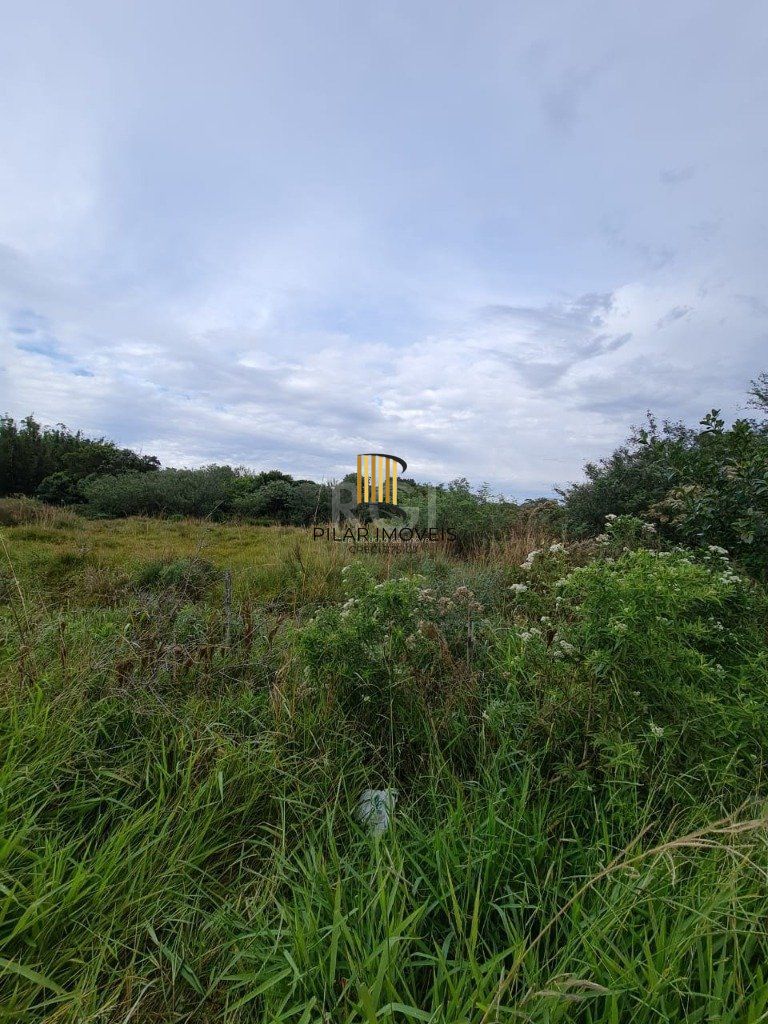 Terreno para Venda - 11800m², 0 dormitórios, Centro